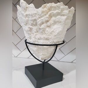 Pottery Barn Seashell Ice Bucket